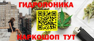 ГАЛЛЮЦИНОГЕННЫЕ ГРИБЫ Коммунар