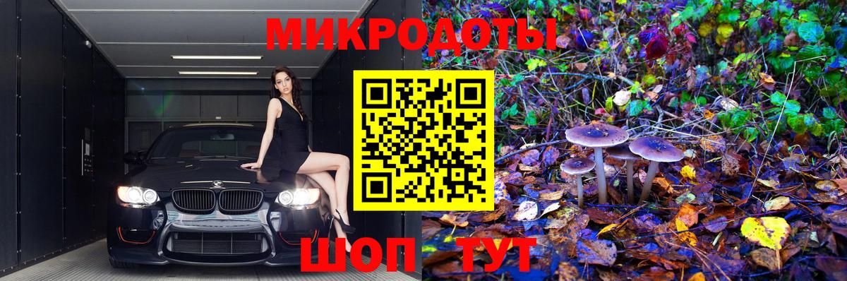 Псилоцибиновые грибы Psilocybe Балашов