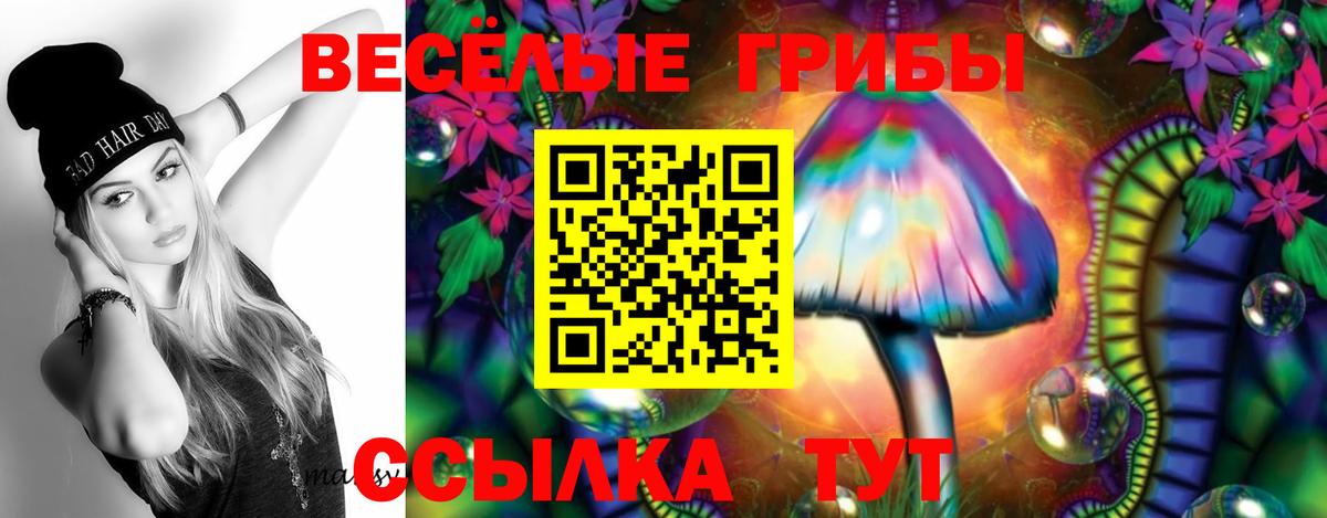 Галлюциногенные грибы мухоморы  где можно купить наркотик  Балашов  Вход с VPN  Галлюциногенные грибы Psilocybe 